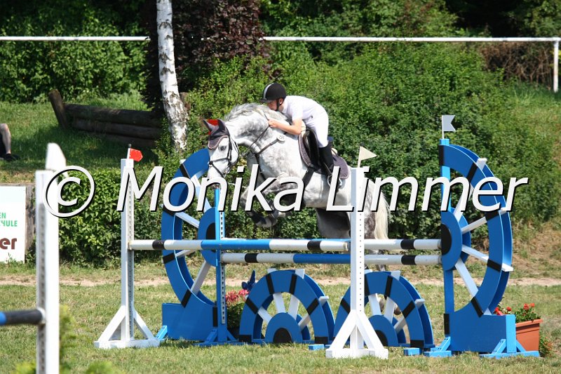 105M3557_Captn Rex_Spring_L.JPG